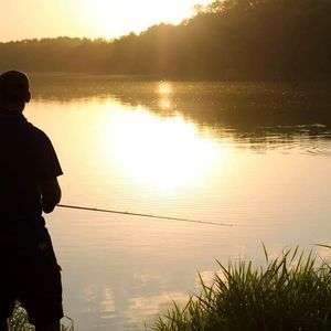 Meet your Posher, Cody